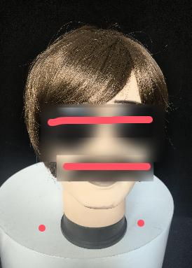 Brown Short Straight Wig with Side Bangs