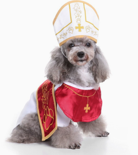 Pet Bishop Outfit with Mitre Hat