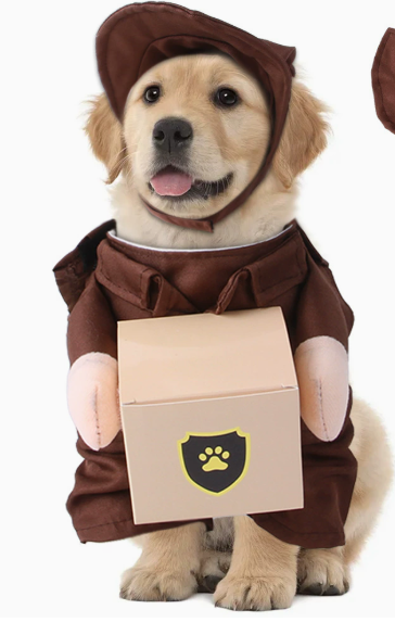 Pet Delivery Worker Outfit