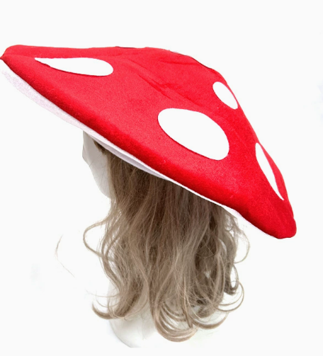 Cute Mushroom Hat