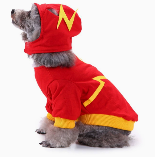 Halloween Superhero Pet Costume