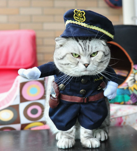 Pet Police Officer Outfit