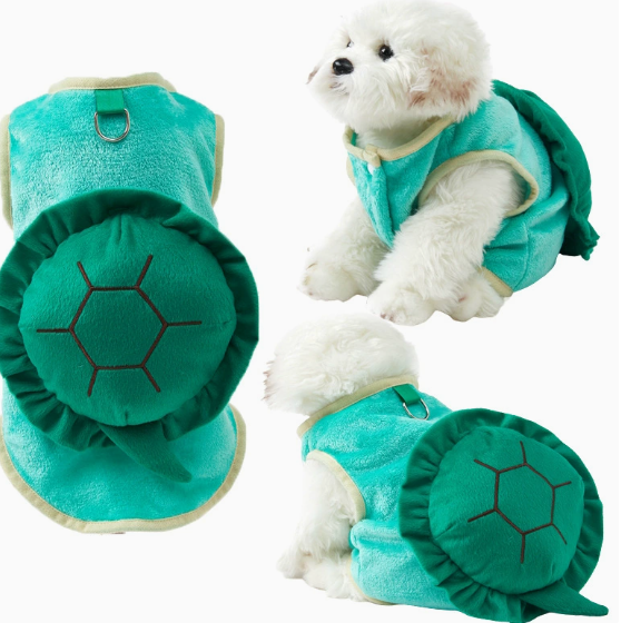 Pet Tortoise Outfit