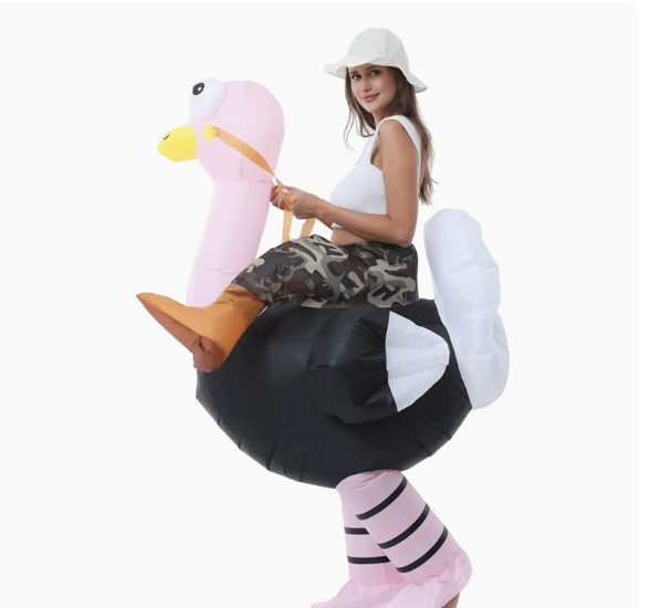 Riding Ostrich Inflatable Costume