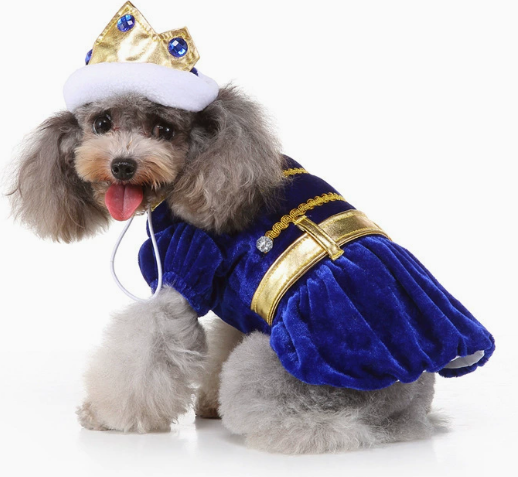 Pet Royal King Outfit