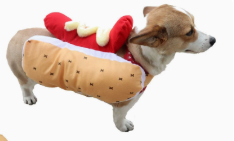 Pet Hot Dog Outfit