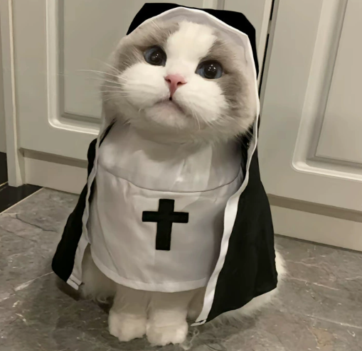 Pet：Cat Nun Costume