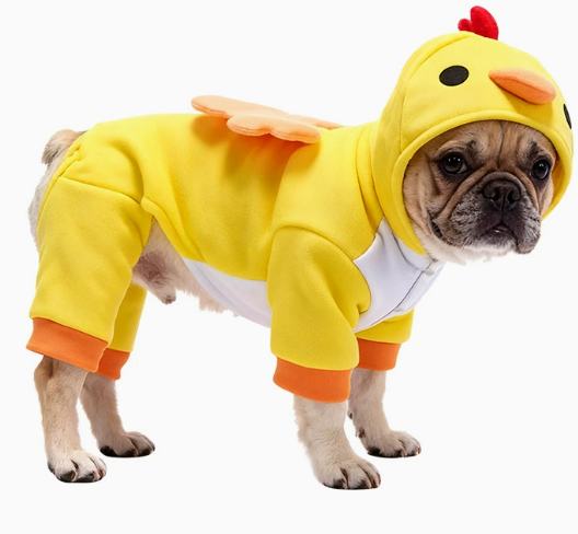 Pet Duckling Outfit