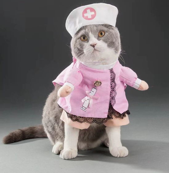 Pet Nurse Outfit