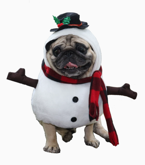 Pet Snowman Outfit