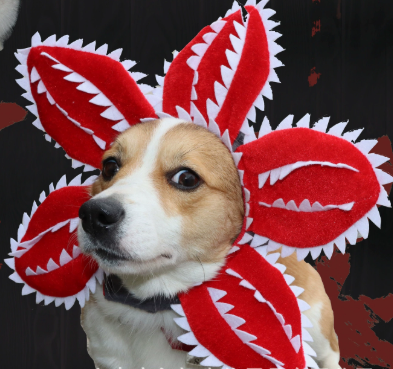 Demogorgon Pet Headband