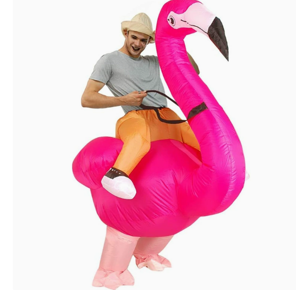 Riding Flamingo Inflatable Costume