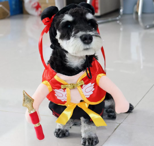 Pet Nezha Costume