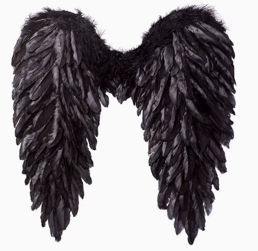 Halloween Feather Wings