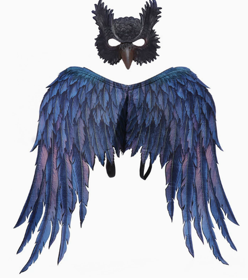 Owl Mask and Wings Set