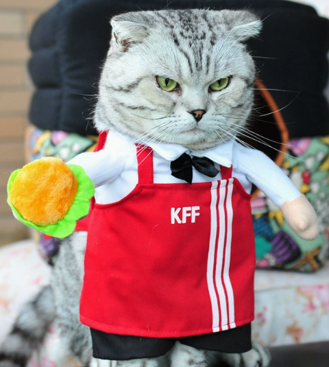 Pet Restaurant Staff Outfit