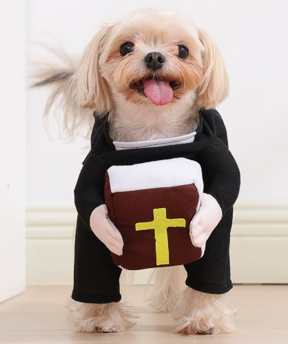 Pet Pastor Outfit