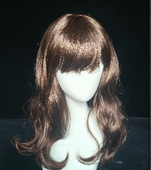 Long Brown Wig with Straight Bangs