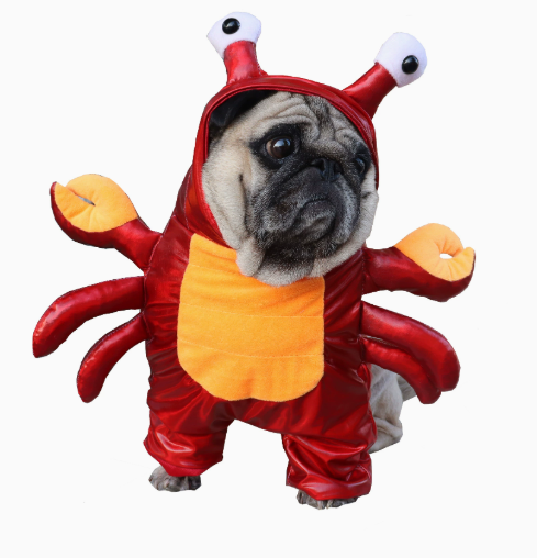 Pet Crab Costume