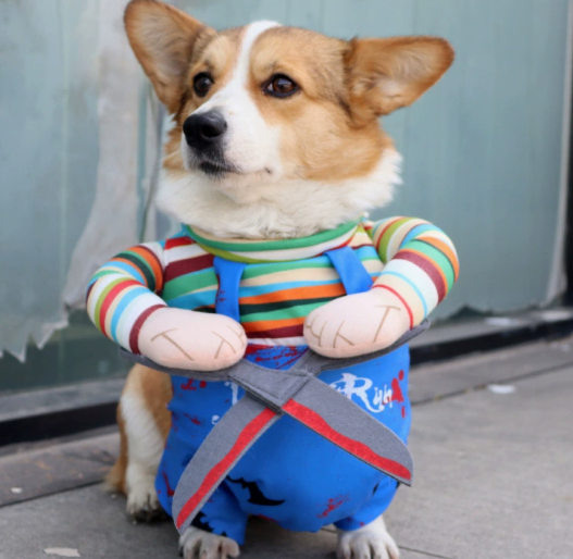 Chucky Pet Costume