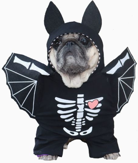 Pet Bat Skeleton Outfit